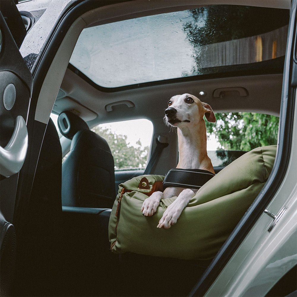 PawSeat- Hundeautositz