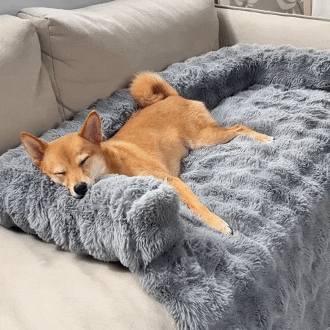 PawCover