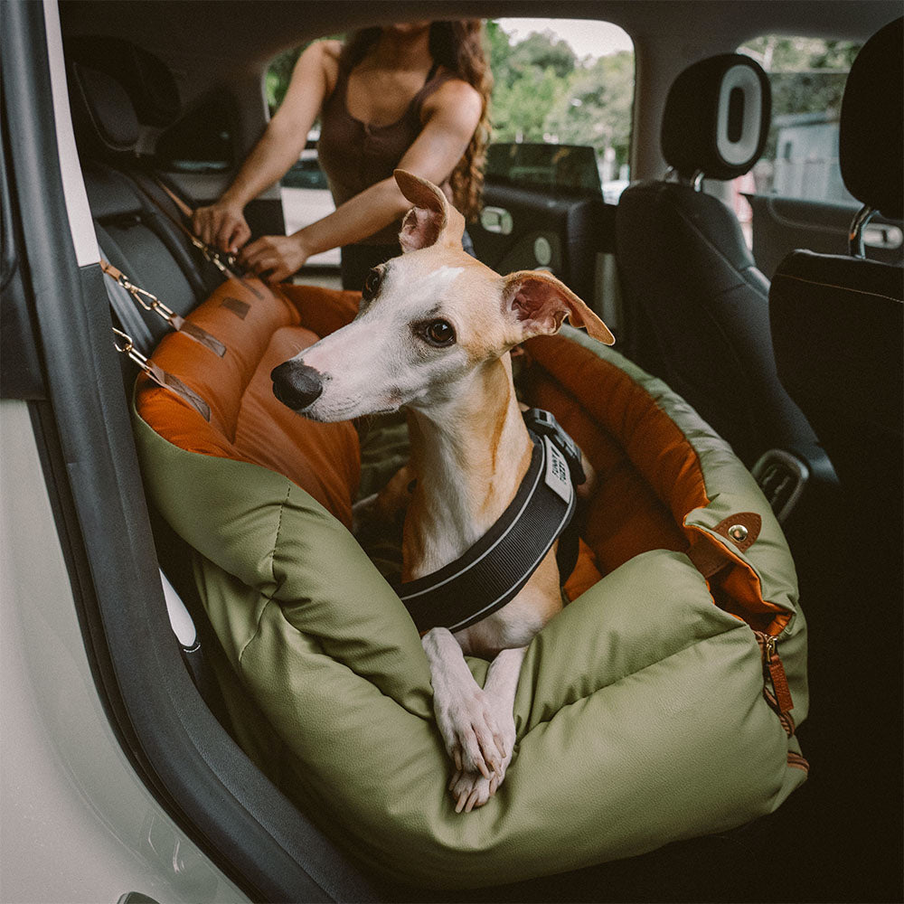 PawSeat- Hundeautositz