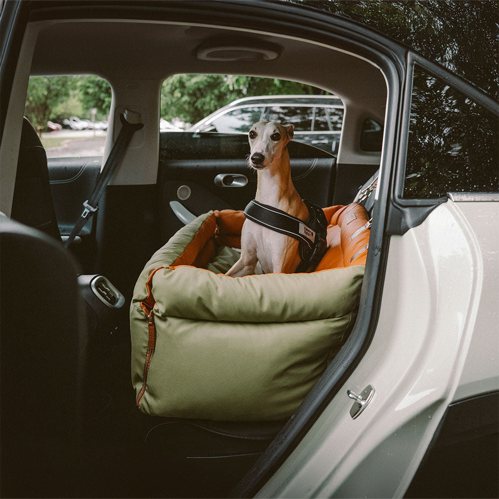PawSeat- Hundeautositz