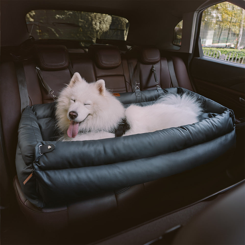 PawSeat- Hundeautositz