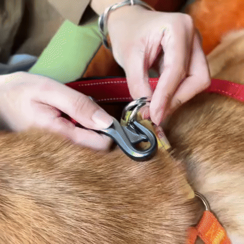 PawSeat- Hundeautositz