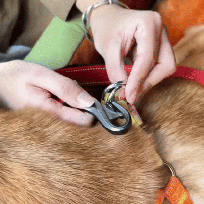 PawSeat- Hundeautositz