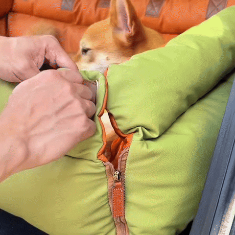 PawSeat- Hundeautositz