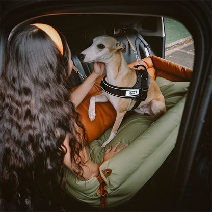 PawSeat- Hundeautositz