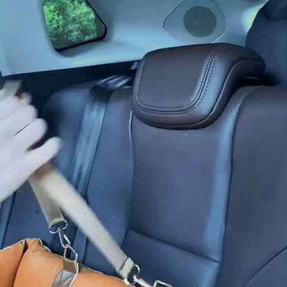 PawSeat- Hundeautositz